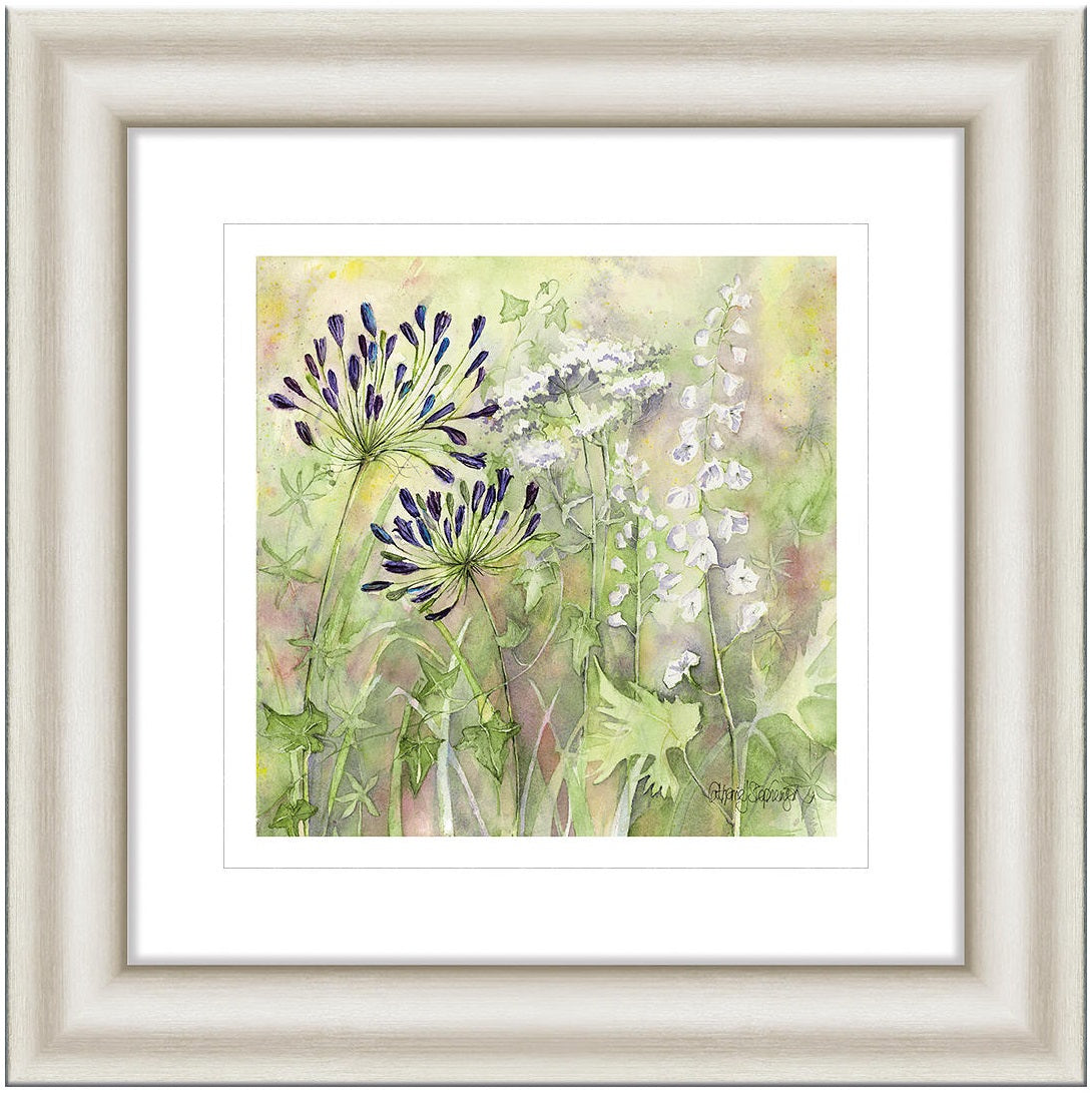 Catherine Stephenson Agapanthus Grasses 1 Framed Print Art - 50 x 50cm