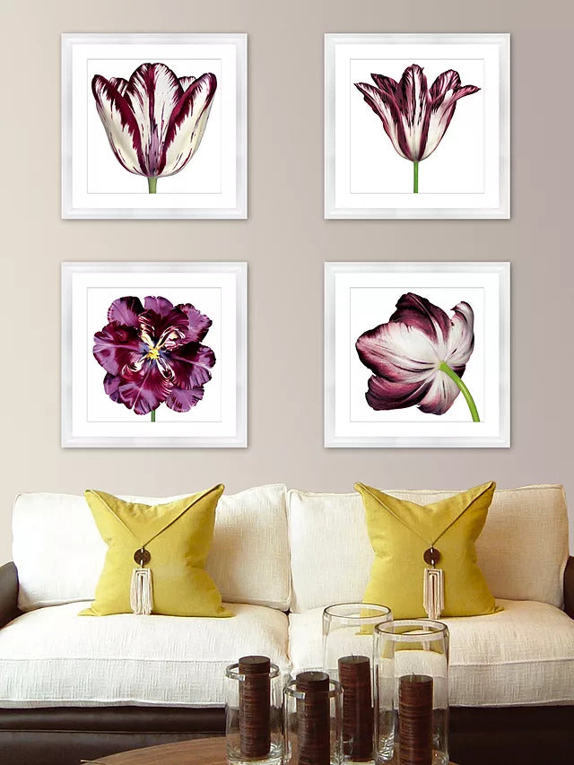 John Lewis Burgundy Tulip 4 Framed Print & Mount 56 x 56cm - Burgundy