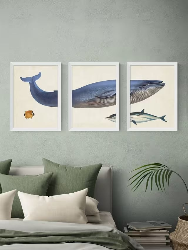 EAST END PRINTS Natural History Museum Whale A2 Print Set of 3 - White Frame