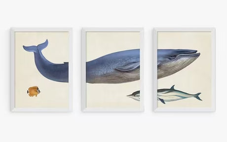 EAST END PRINTS Natural History Museum Whale A2 Print Set of 3 - White Frame