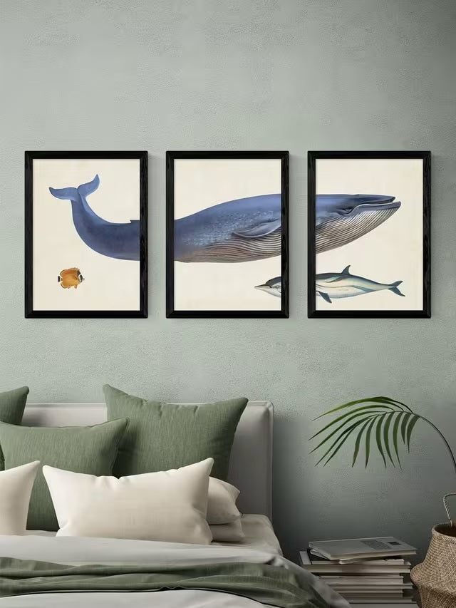 EAST END PRINTS Natural History Museum Whale A2 Print Set of 3 - Black Frame