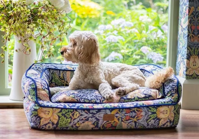 Morris & Co. Strawberry Thief Print Large Dog Sofa Bed - Navy Blue/Multi - Kazoop 