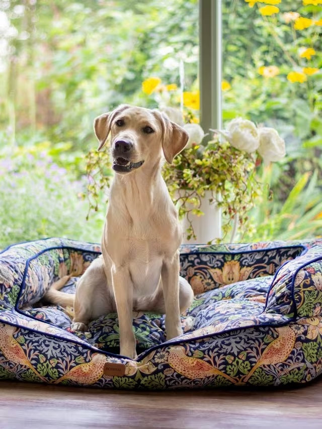 Morris & Co. Strawberry Thief Print Large Dog Sofa Bed - Navy Blue/Multi - Kazoop 
