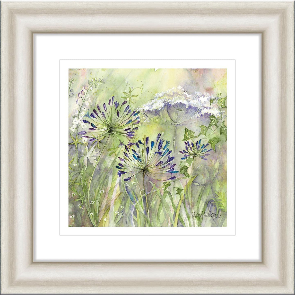 John Lewis Catherine Stephenson Agapanthus Grasses II Framed Print 50 x 50cm
