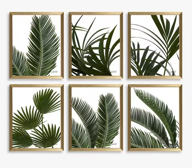 John Lewis Linda Wood 'Tropical Leaves' Framed 32 x 26cm Set of 6 - Green
