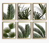 John Lewis Linda Wood 'Tropical Leaves' Framed 32 x 26cm Set of 6 - Green
