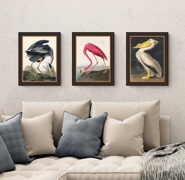 John Lewis John James Audubon Birds Framed Print 47 x 37cm Set of 3 - Multi