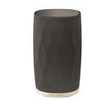 Bowers & Wilkins Formation Flex Wireless Bluetooth Surround Speaker - Black
