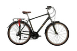 Raleigh Pioneer Trail Crossbar 21-Speed Grey/Green Hybrid Bike - Large 20''