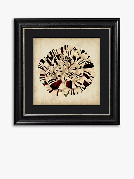 Brookpace Lascelles Pop Floral V Framed Print & Mount 56 x 56cm Black/White - Kazoop 