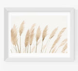 EAST END PRINTS Sisi and Seb 'Pampas' Print 63.4 x 83.4cm - White Frame