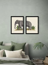 EAST END PRINTS Natural History Museum 'Elephant' A2 Framed Print Set of 2