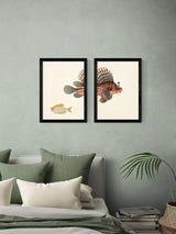 EAST END PRINTS Natural History Museum 'Fish' A2 Framed Prints - Black Frame
