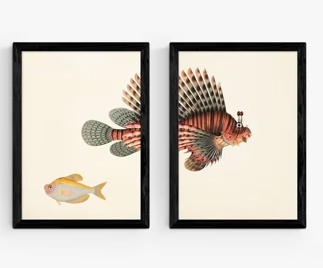 EAST END PRINTS Natural History Museum 'Fish' A2 Framed Prints - Black Frame