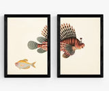 EAST END PRINTS Natural History Museum 'Fish' A2 Framed Prints - Black Frame