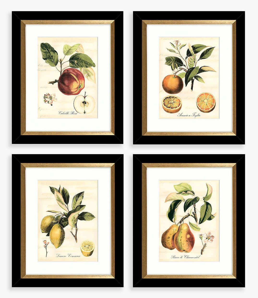 John Lewis & Partners Tuscan Fruit - Framed Print & Mount Set of 4 - Multi