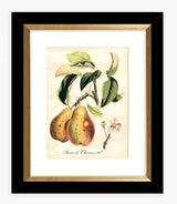 John Lewis & Partners Tuscan Fruit - Framed Print & Mount Set of 4 - Multi