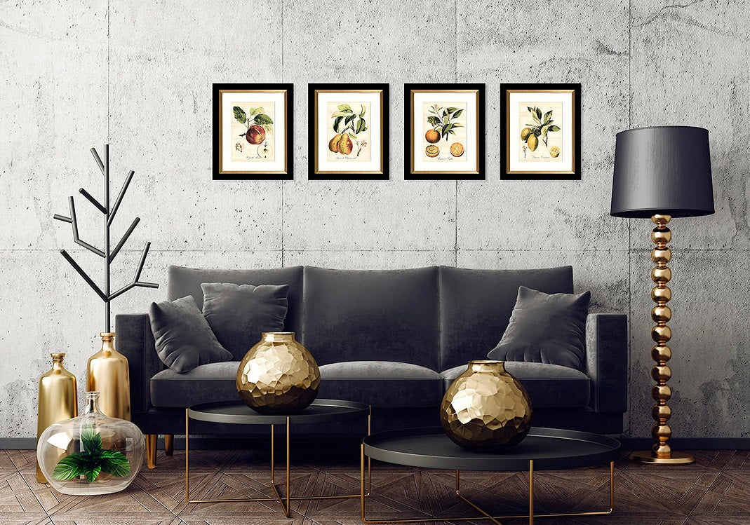 John Lewis & Partners Tuscan Fruit - Framed Print & Mount Set of 4 - Multi