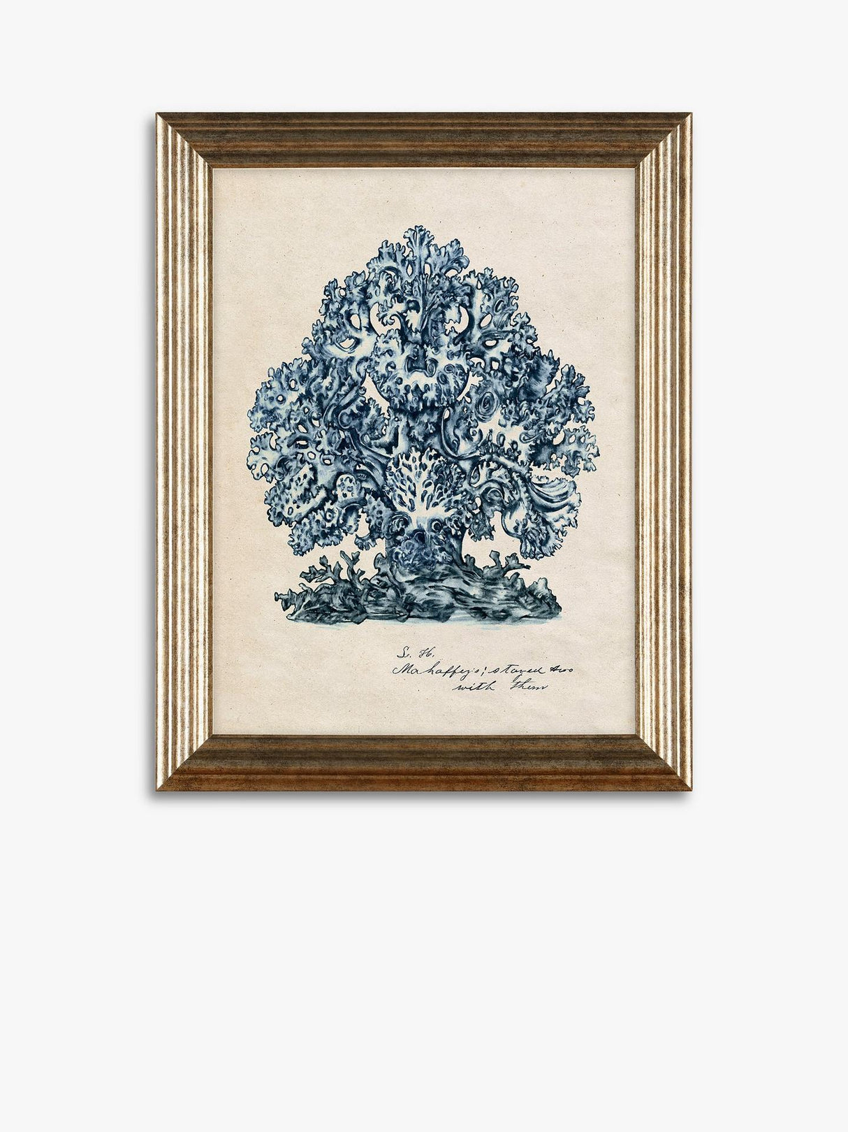 John Lewis Melissa Wang 'Sea Coral Study' Framed Prints Set of 4 - 47 x 37cm