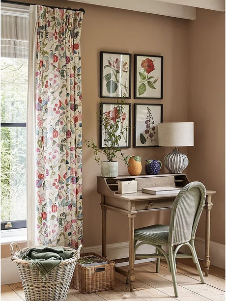 John Lewis Garden Botanicals - Framed Prints Set of 6 42 x 32cm - Multi - Kazoop 
