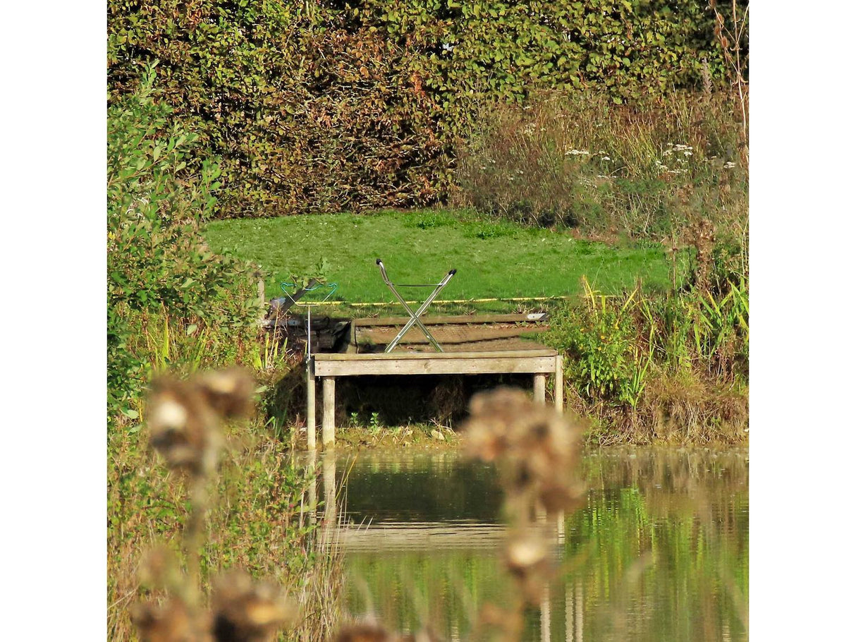 Leisurewize Aluminium Frame Padded Handles 86cm Folding Walking Stick Seat