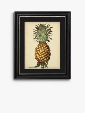 George Brookshaw Antique Pineapple Framed Print & Mount 60 x 50cm - Black